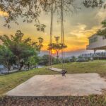 pexels-wibhas-onnom-711935-min